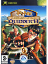 Harry potter quidditch