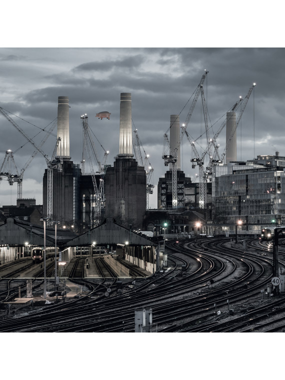 Animals (2018 remix)