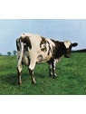 Atom heart mother