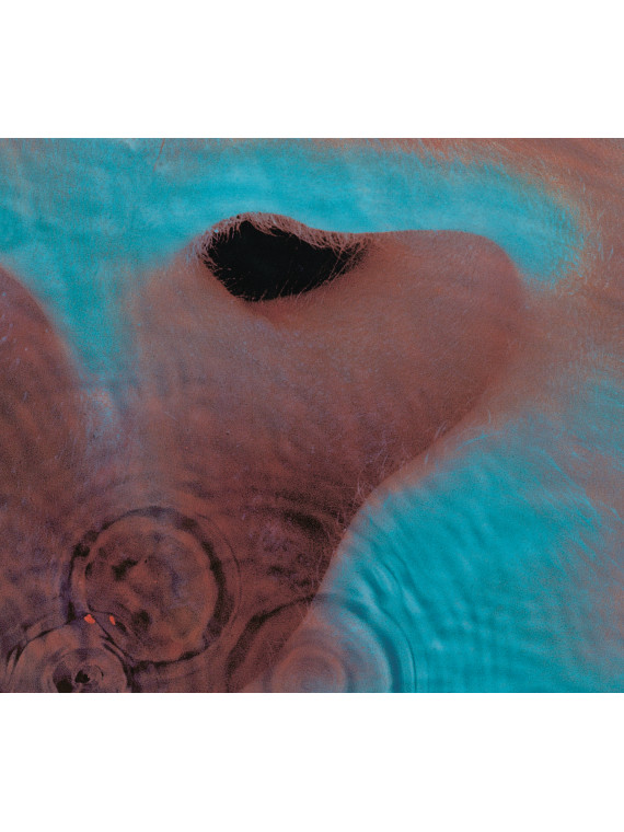 Meddle