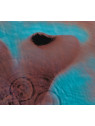 Meddle