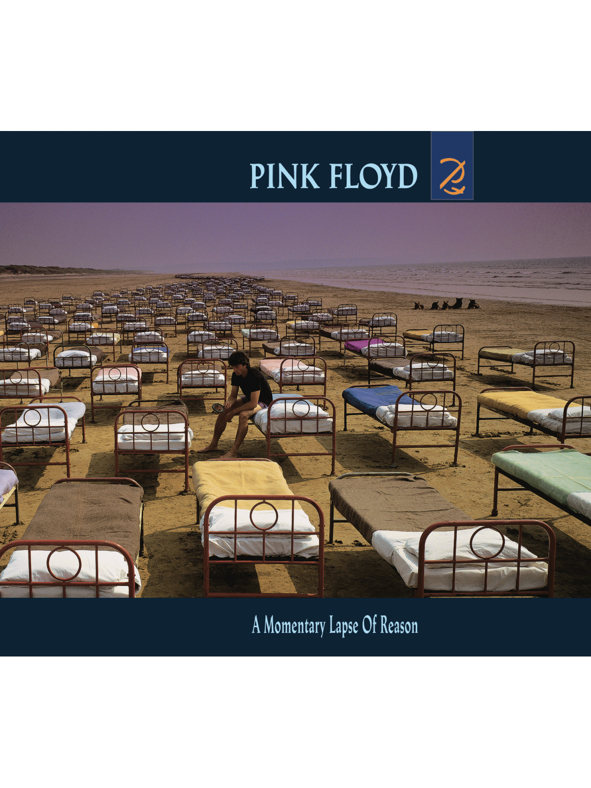 A momentary lapse of reason