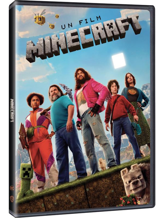 Un film minecraft