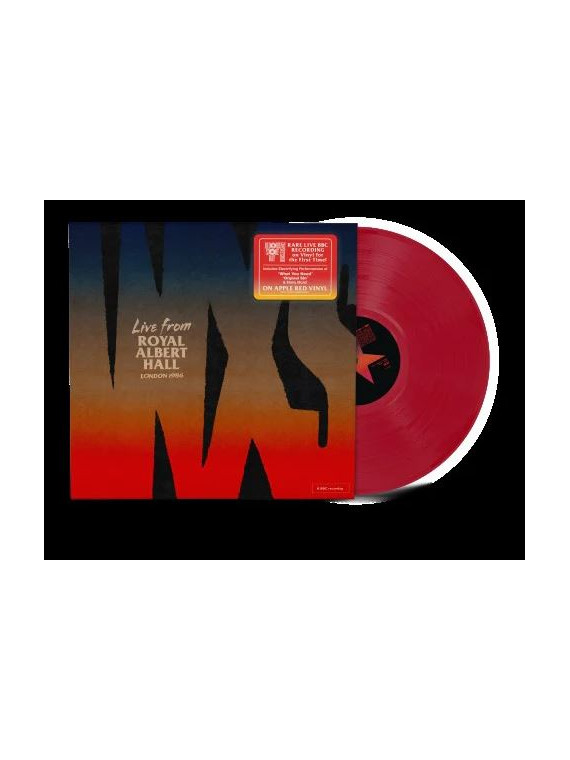 Live from royal (black friday 2025)