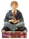 Harry potter ron weasley w-scabbers