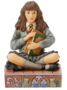 Harry potter hermione w-book