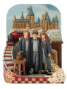Harry potter, ron weasley and hermione w-train