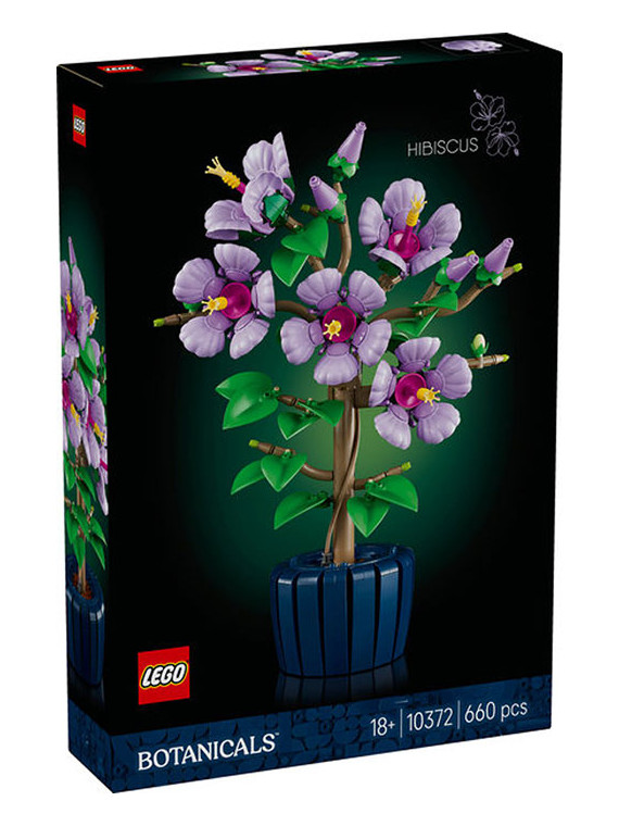 Flowers botanical ibisco rare - 10372