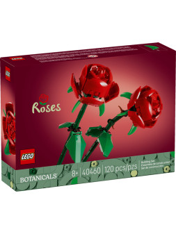 Flowers botanical rose v2 - 40460
