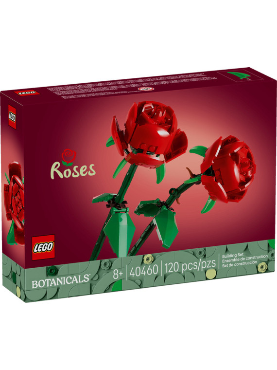 Flowers botanical rose v2 - 40460