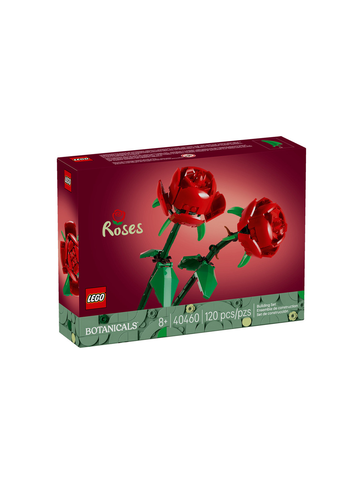 Flowers botanical rose v2 - 40460