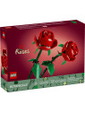 Flowers botanical rose v2 - 40460