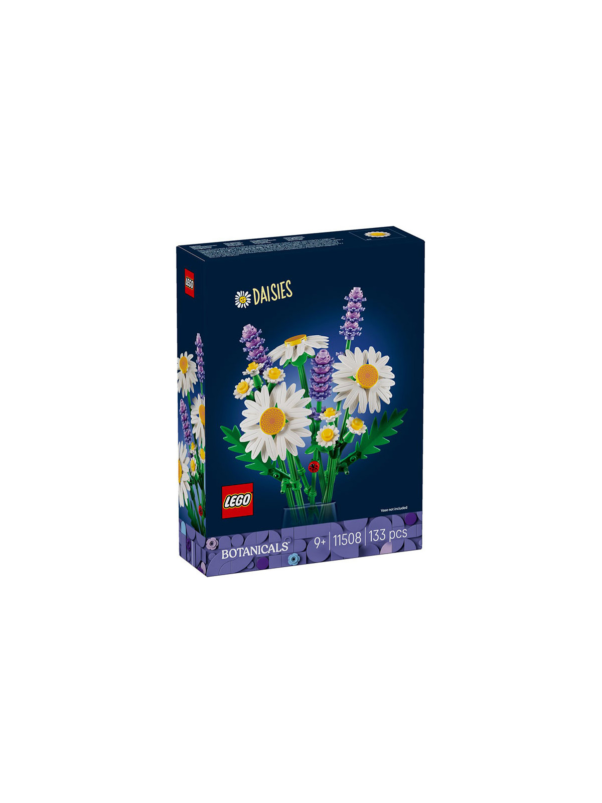 Flowers botanical margherite - 11508