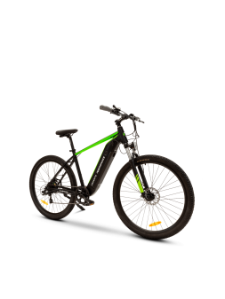 Argento e-bike performance