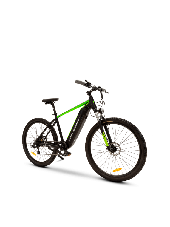 Argento e-bike performance