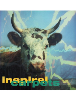 She comes in the fall