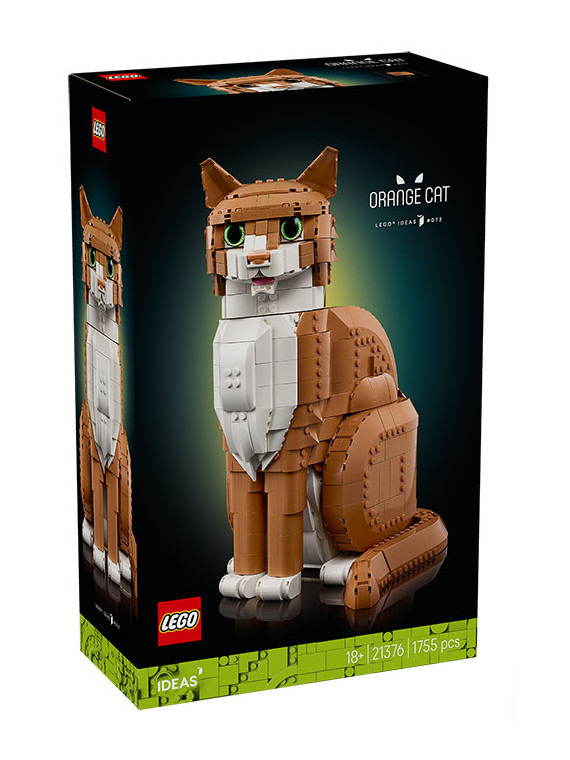 Ideas gatto soriano rare - 21376