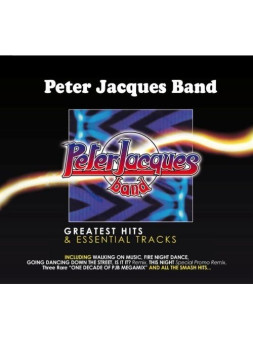 Disco hits (remastered limited edt.)