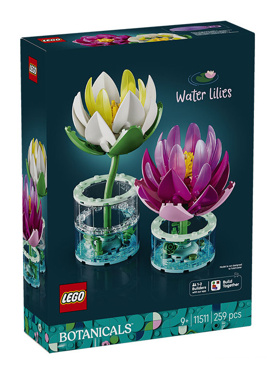 Flowers botanical ninfee - 11511