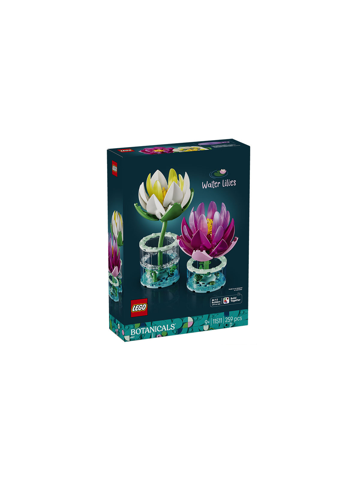 Flowers botanical ninfee - 11511