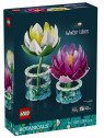Flowers botanical ninfee - 11511