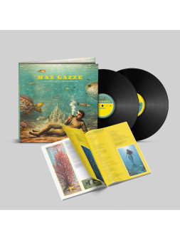 L'ornamento delle cose secondarie -2lp gatefold