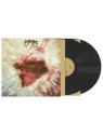 17 re doppio vinile nero