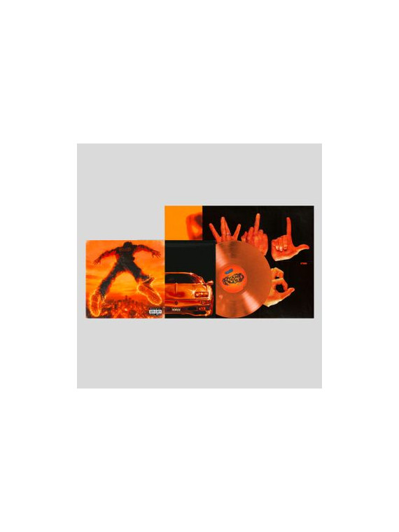 Ryan ted (lp transparent orange + poster)
