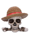 One piece luffy jolly roger