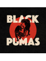 Black pumas