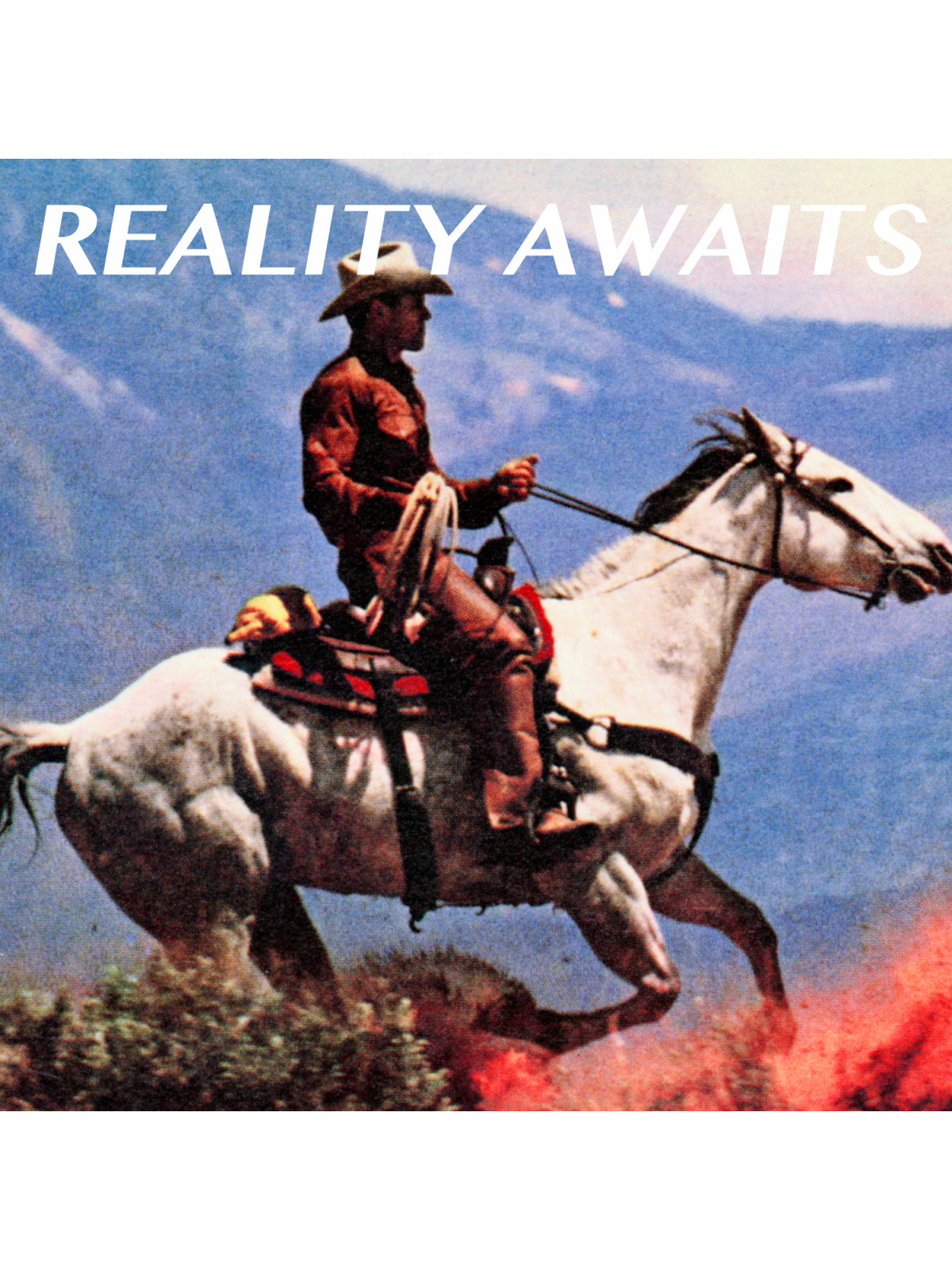 Reality awaits - standard lp black