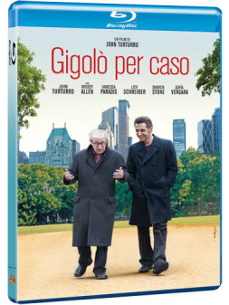 Gigolò per caso