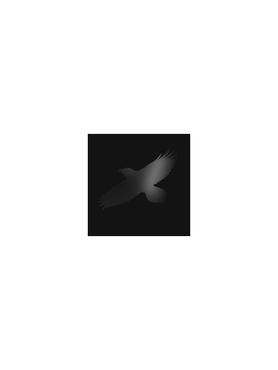 Odins raven magic