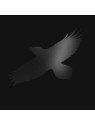 Odins raven magic