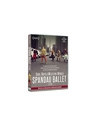 Spandau ballet - il film