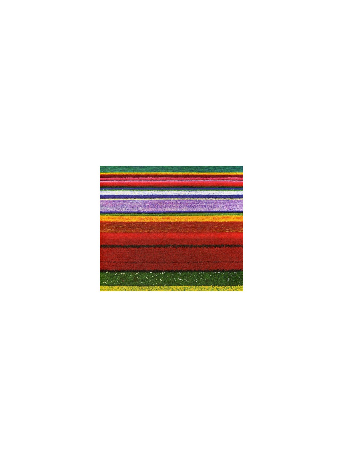 Little hell cd+dvd