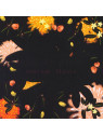 Noise floor (rarities 1998-2005)