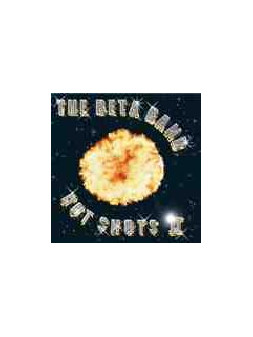 Hot shots ii