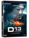 Diamond 13