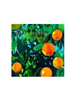 Violet bent backwards over the grass