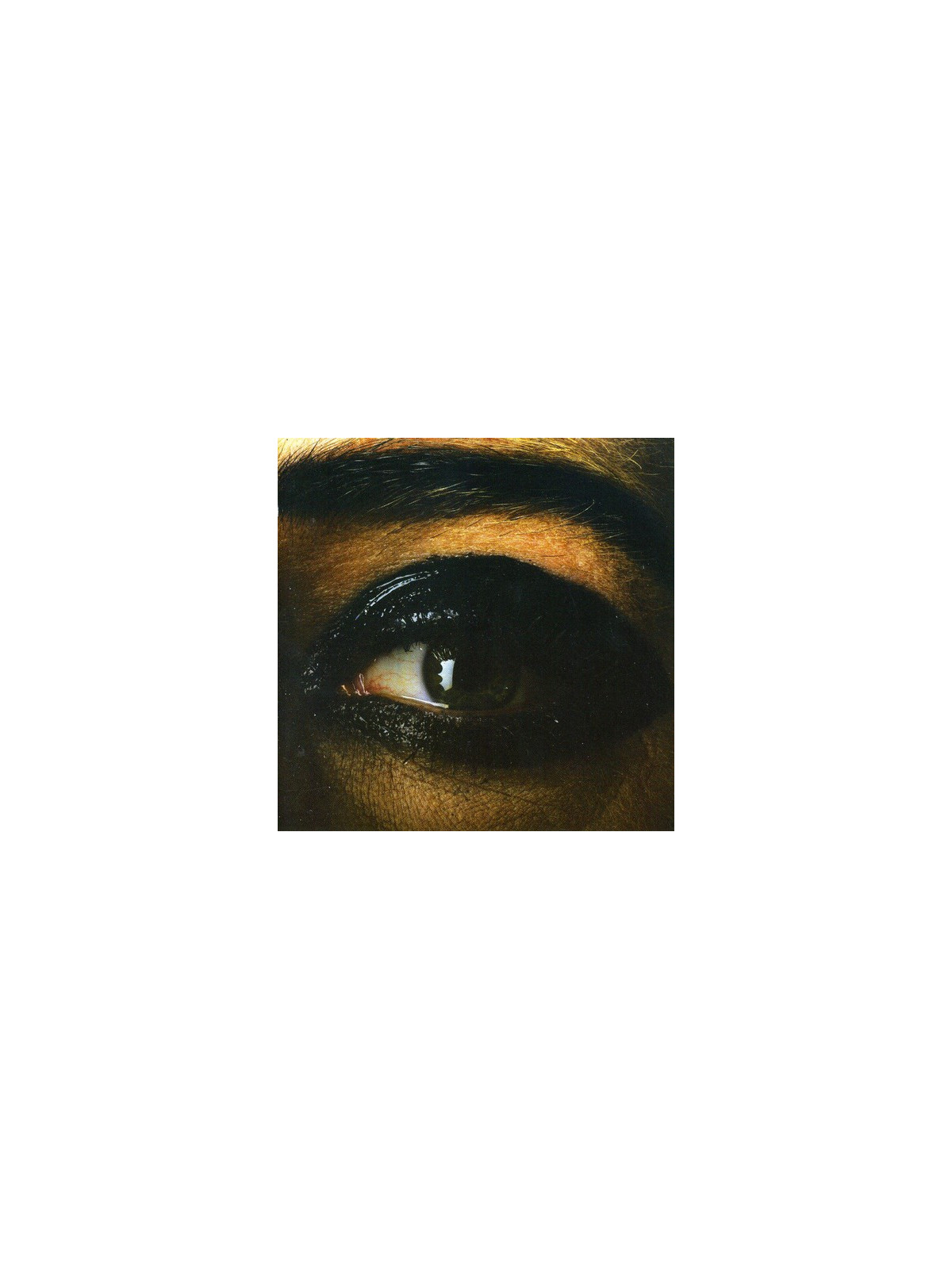 All days are nights : songs for lulu