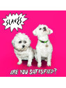 Are you satisfied?
