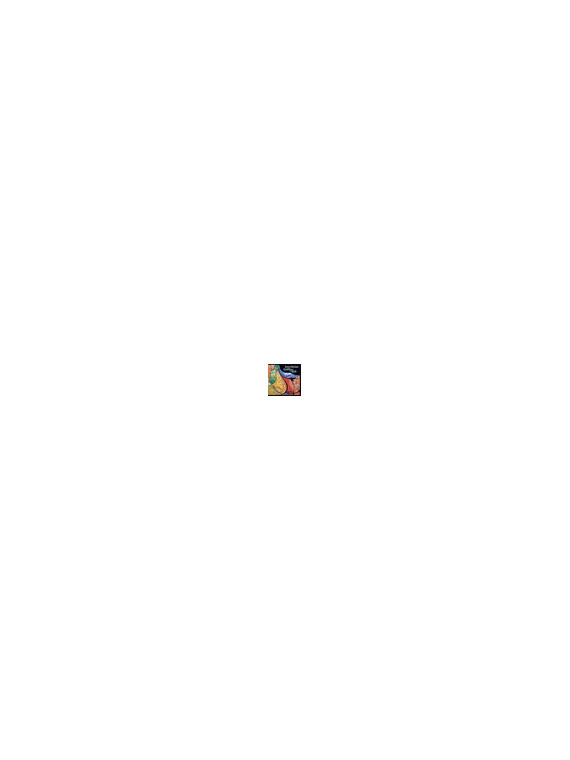 Gente del cielo