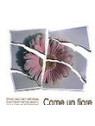 Come un fiore