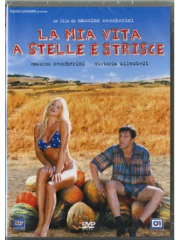 La mia vita a stelle e strisce