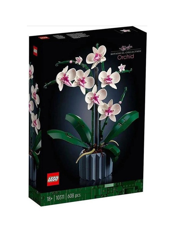 Flowers botanical orchidea - 10311