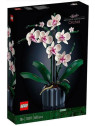 Flowers botanical orchidea - 10311