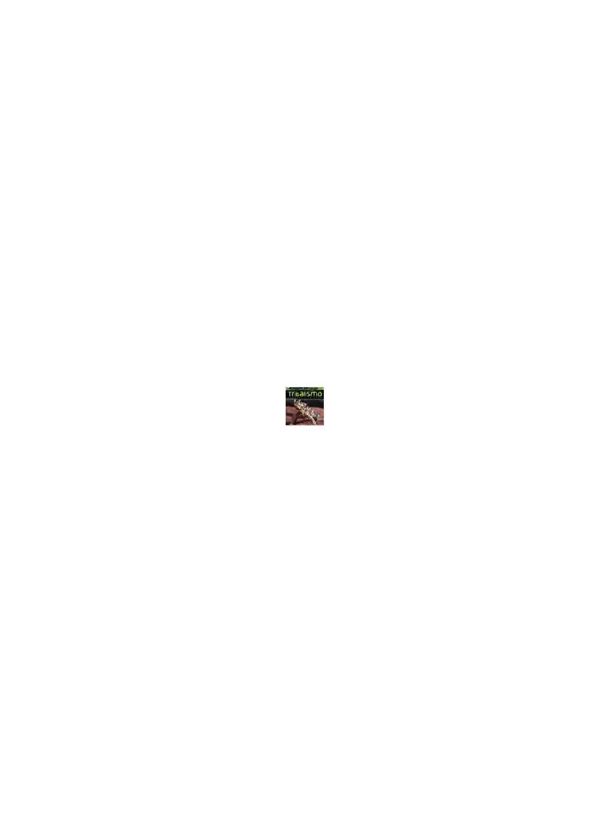 Tribalismo compilation vol. 18