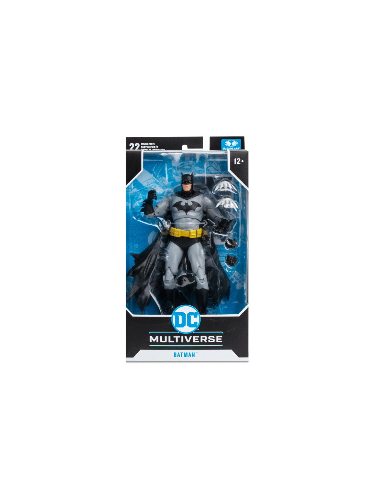 Batman nero e grigio multiverse