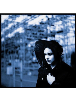 Blunderbuss